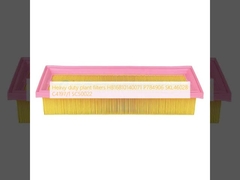 Heavy duty plant filters H816810140071  P784906 SKL46028 C4197/1 SC50022