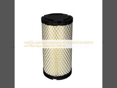 CNH Car Application Heavy-duty Air Filter AF25538 4052678 with Filter Paper 12MJ21140 73185194