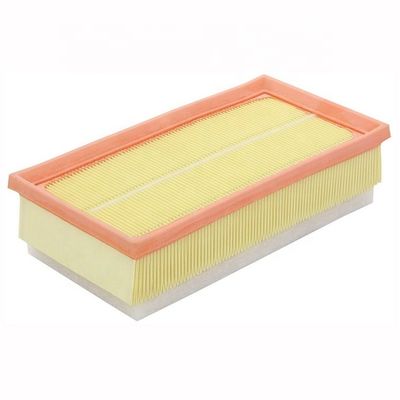 9651883380 13717806046 C2567 Engine Auto Parts Car Air Filter C31149 Reference NO. for European Car