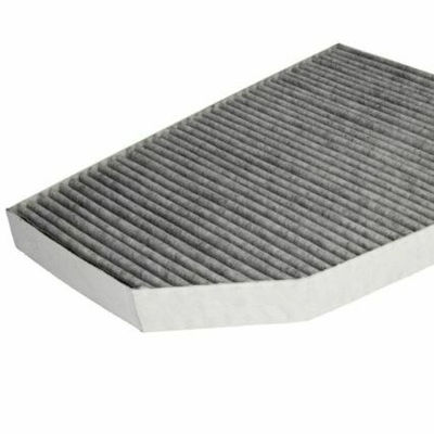 1039042-00-B Model X Cabin Pollen Filter with Action Charcoal and ELEC Engine within OE NO. 1039042-00-B