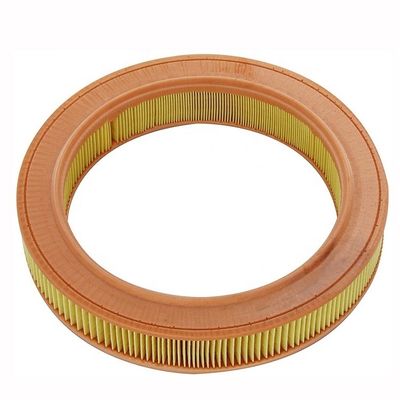 Auto Engine Parts Car Air Filter CA2729 834257 834270 834287 C2846 Filtrate Air for Better Performance