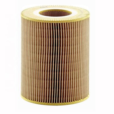 Filtrate Air Car Air Filter Element 1660940004 A1660940004 for Long-Lasting Air Filtratio