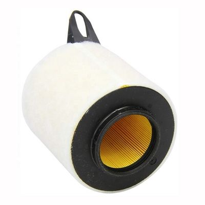 2004-2011 Year BMW Car Air Filter Element 13717543161 13717524412 C1370 for Engine Auto Parts